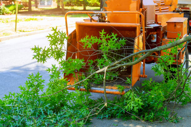 Mulching Services in Aberdeen, IN